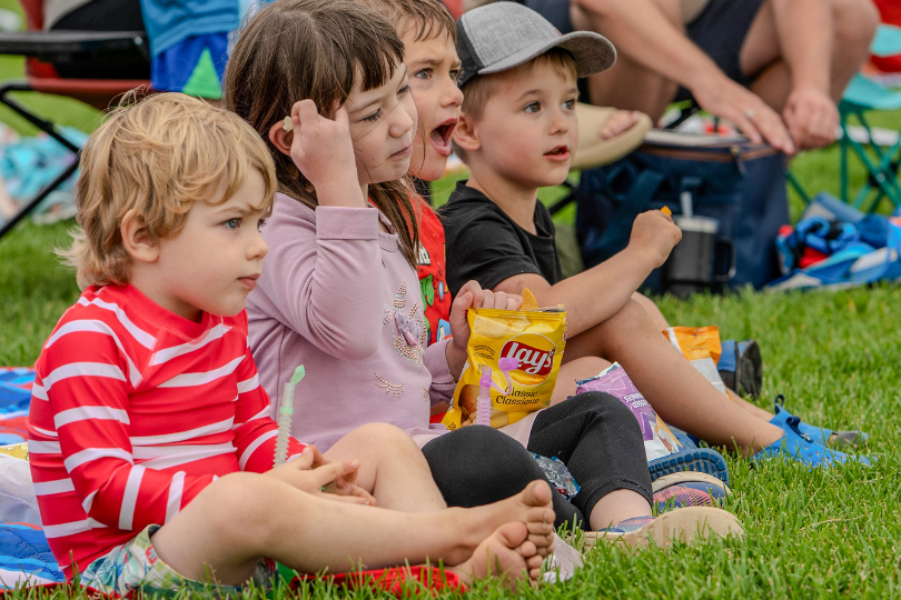 Movie in the Park 24