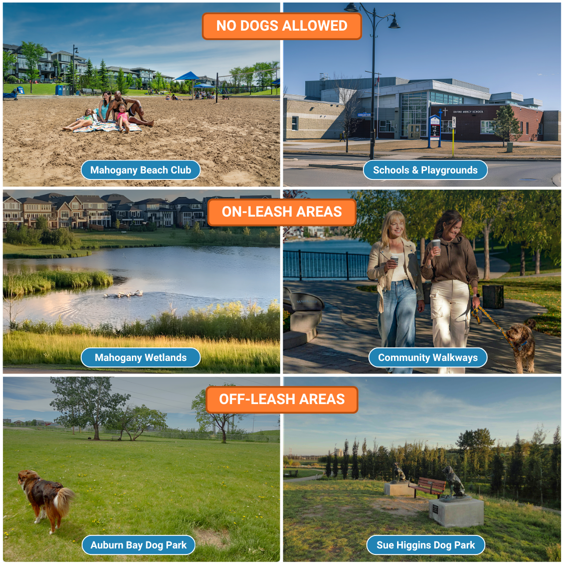 Map of Mahogany dog leash zones: no dogs allowed, on-leash areas, and off-leash areas